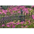 thumbnail image 2 of Jones, Adam 32x23 Gold Ornate Wood Framed with Double Matting Museum Art Print Titled - Iron fence and azaleas in full bloom-Bonaventure Cemetery-Savannah-Georgia, 2 of 4