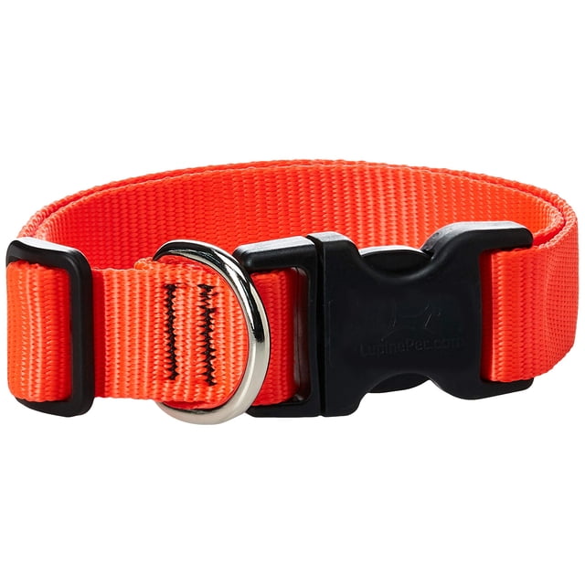 Collar para perro LupinePet Blaze Orange, 2,5 cm, ajustable entre 41 y 71 cm