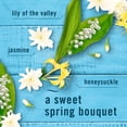 thumbnail image 4 of Febreze Plug In Air Freshener, Odor-Fighting Scented Oil Refill, Jasmine & Honeysuckle Scent, 4 Refills, 4 of 10