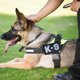 thumbnail image 5 of piezas militares K9 policía perro gancho y bucle etiquetas totalmente bordadas emblema táctico, 5 of 5