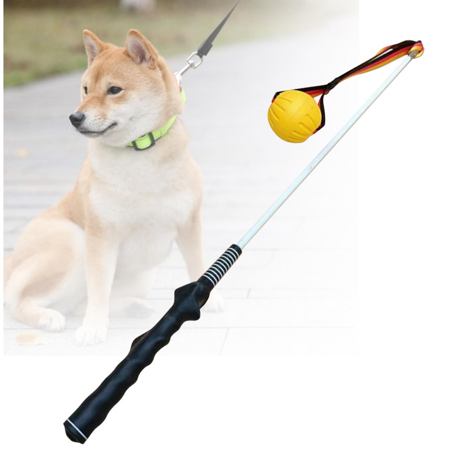 Bvdfgk Flirt Pole for Dogs Dog Teaser Pole Interactive Dog Toys Tug of War Rope Toy for 80cm