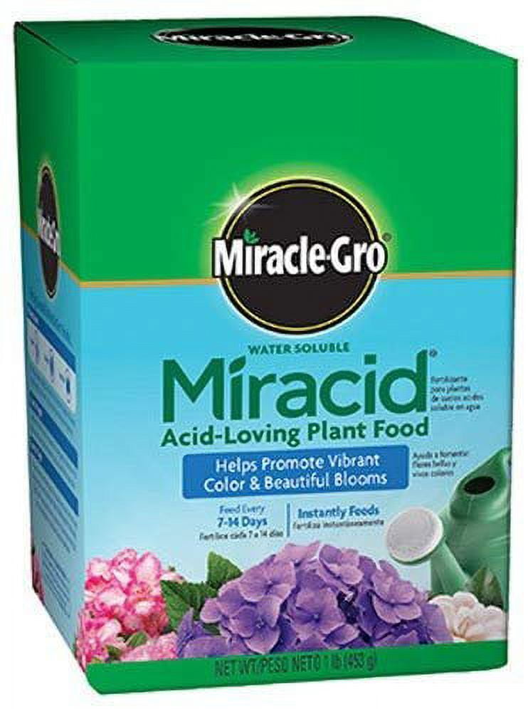 Miracle-Gro Azalea, Camellia, Rhododendron Plant Food Fertilizers
