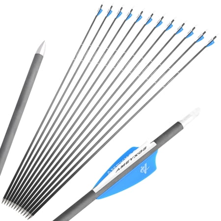 32 Inch Archery Carbon Arrow Spine 500 Hunting Target Practice Arrows for Compound & Recurve Bow (6PCS)