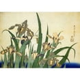 thumbnail image 3 of Hokusai 18x14 Black Modern Framed Museum Art Print Titled - Irises, 3 of 5