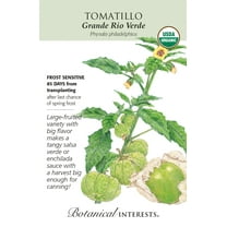 Organic Grande Rio Verde Tomatillo Seeds - 150 Milligrams