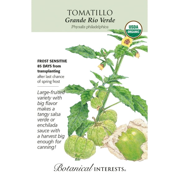 Organic Grande Rio Verde Tomatillo Seeds - 150 Milligrams