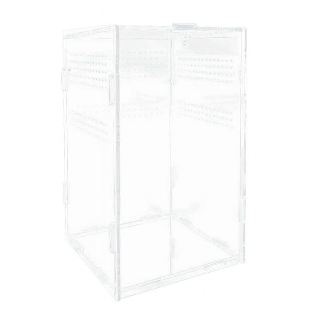Caja de Terrario para , Caja de Comida para , Caja de Comida Transparente para Insectos, para ArañAs, Ranas Cornudas, Serpientes Mascota