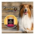 thumbnail image 4 of Alimento para Perro Ganador Premium Adulto Pollo Pavo 100 g, 4 of 4