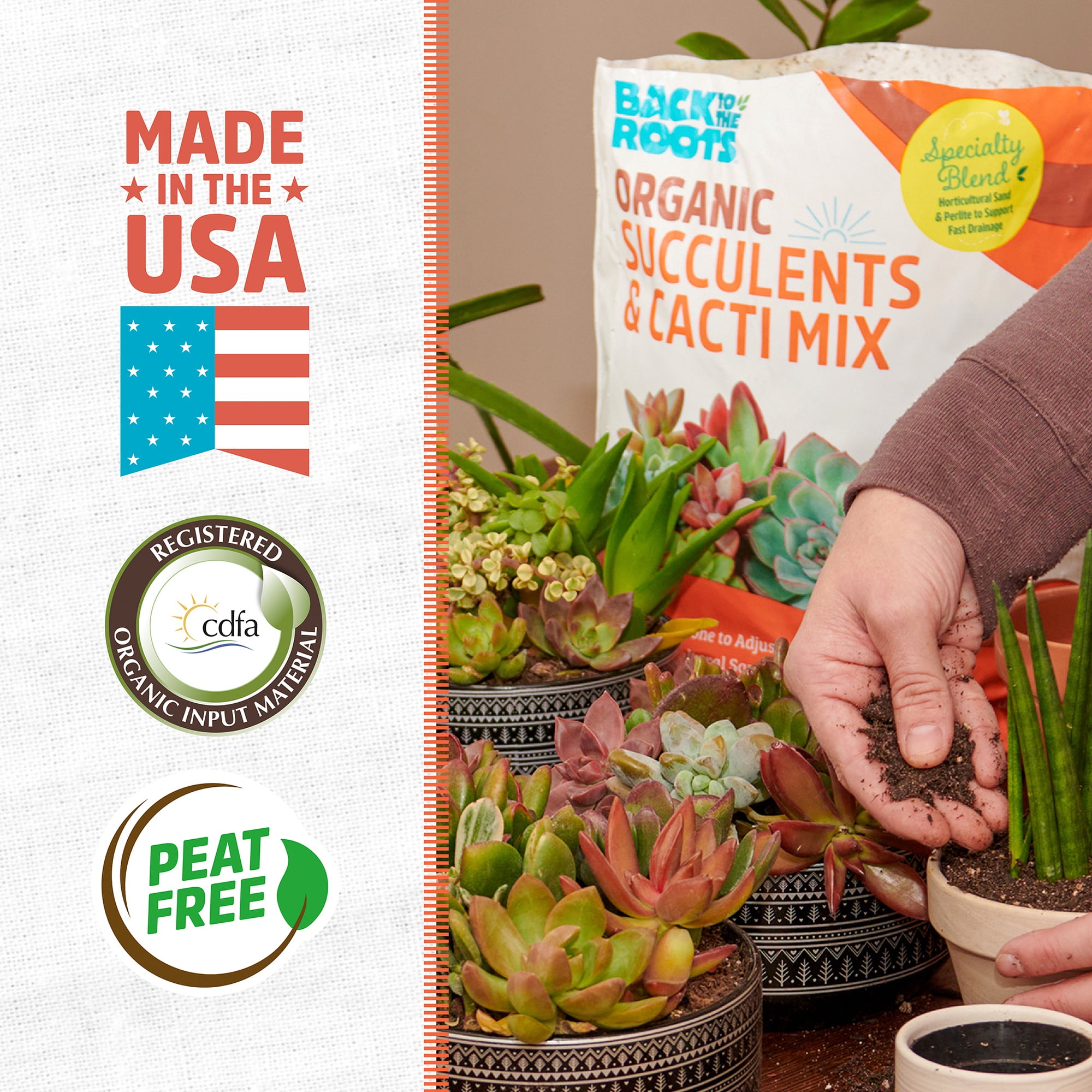 Back to the Roots  100% Organic Succulent & Cacti Mix (6 Quart)