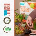 thumbnail image 2 of Back to the Roots  100% Organic Succulent & Cacti Mix (6 Quart), 2 of 5