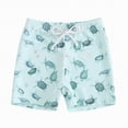 thumbnail image 4 of HCNTES Boys Swim Trunks Toddler Swim Shorts Bathing Suit Kids Swimsuit Youth Swimwear(Light Blue,3-4 Years), 4 of 5
