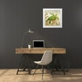 thumbnail image 3 of Brent, Paul 15x15 White Modern Wood Framed Museum Art Print Titled - Calypso Turtles I, 3 of 4