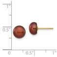 thumbnail image 3 of Auriga 14k Yellow Gold 7-8mm Coffee Button Pearl Stud Earrings for Women, 3 of 5