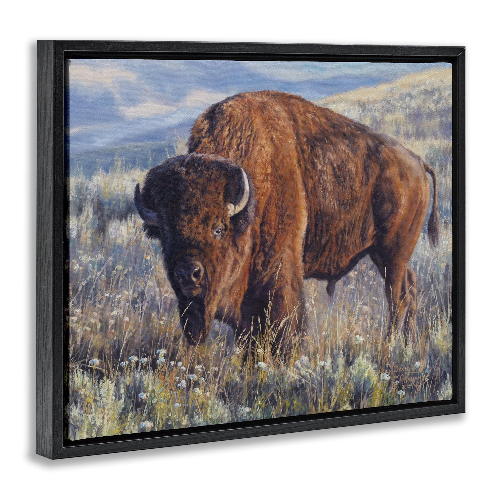 Stupell Industries Prairie King Bison Landscape Photography Black Floater Framed Canvas Art Print Wall Art, 31 x 25