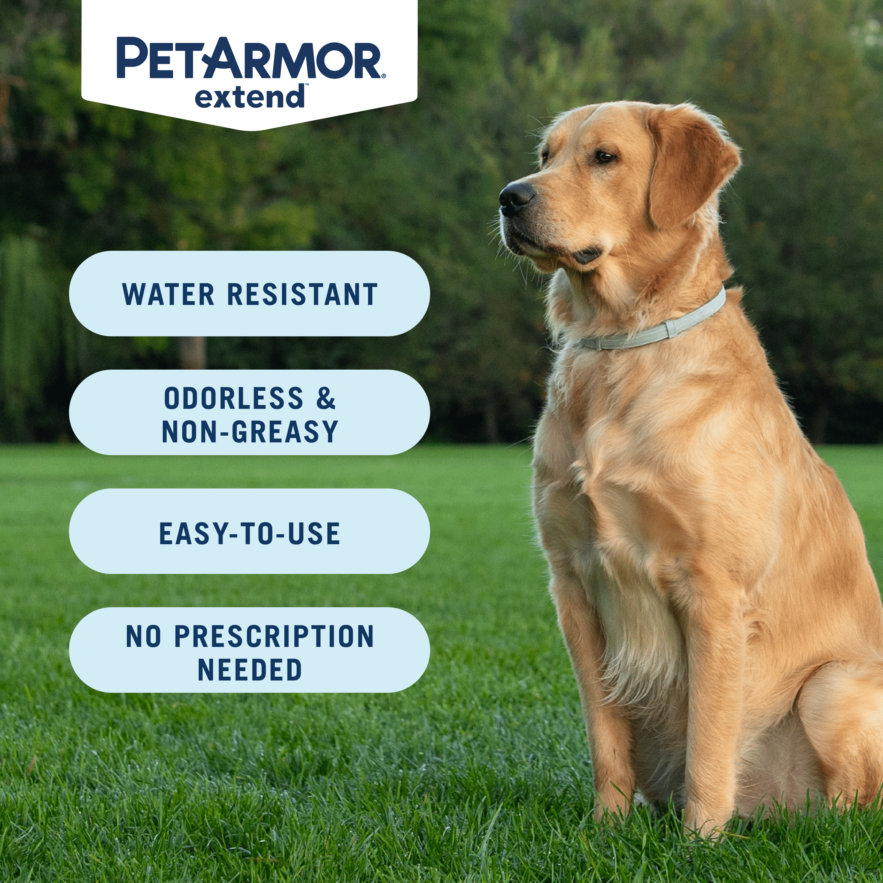 PetArmor Extend Flea & Tick Treatment & Prevention Collar for Small Dogs up to 18 lbs., 8 Months of Protection, Odorless & Non-Greasy, 1 Count