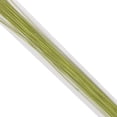 thumbnail image 2 of 28 Gauge Spring Green Paper Covered Floral Wire - 14 inches long - pack of 50, 2 of 2