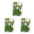 thumbnail image 1 of sweethay Hojas secas naturales Plantas en relieve hechas a mano Hojas prensadas Adorno Postal Regalos para tarjetas de boda de resina Type4 NO4, 1 of 6
