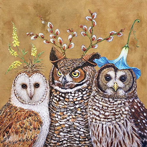 Paperproducts Design Beverage Paper Napkins Set of 20, Owl Family Design