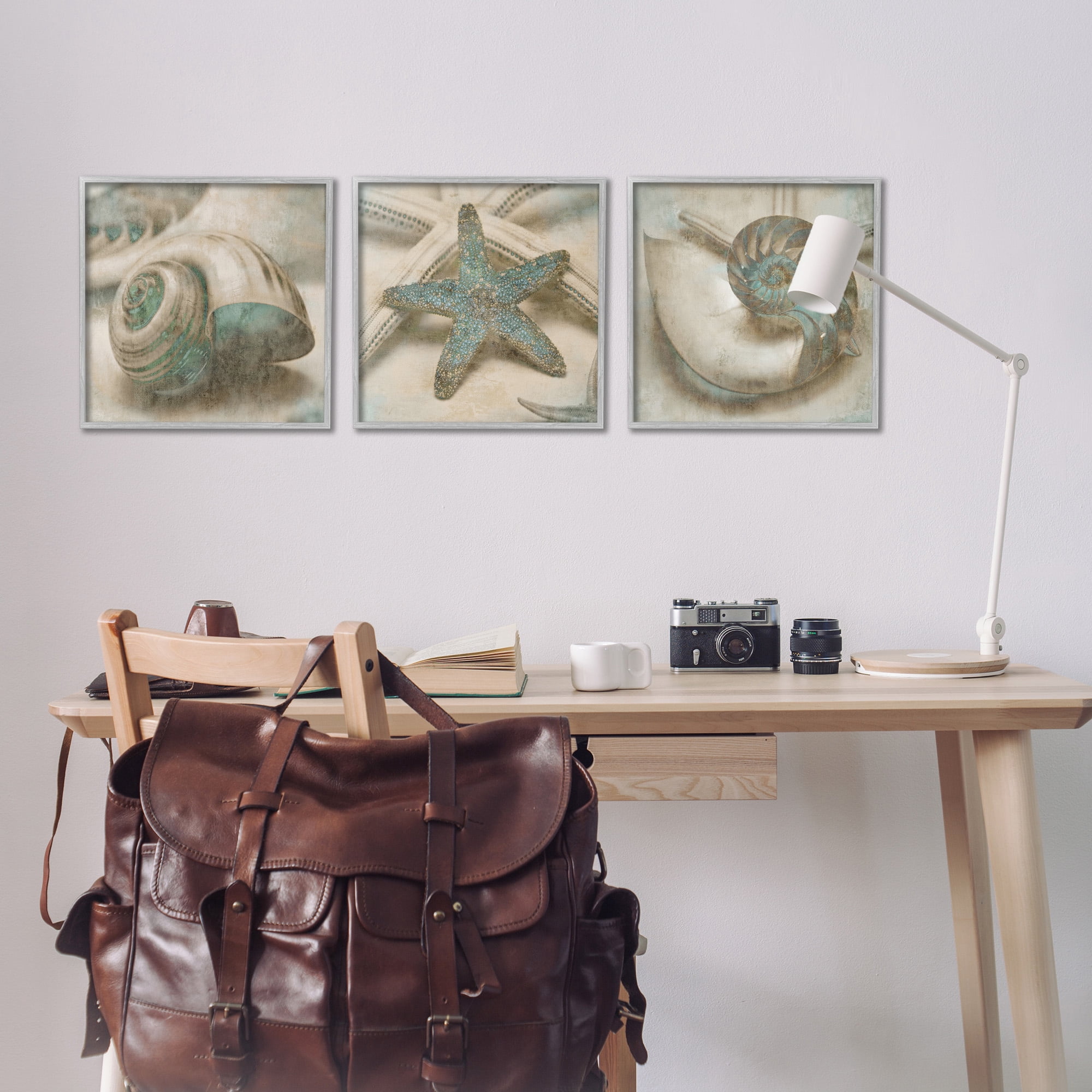 Stupell Industries Starfish & Sea Shells Distressed Nature Painting Gray Framed Art Print Wall Art, 17 x 17, Set of 3