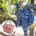thumbnail image 4 of ELAYARD Plastic Hand Basket Grocery Basket Pink Storage 1Pcs for Store Use, 4 of 8