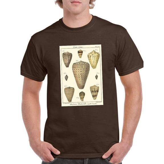 Cone Shells. T-Shirt Men -Denis Diderot Designs, Male 3X-Large