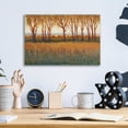 thumbnail image 3 of Epic Art 'Glow in the Afternoon I' by Tim O'Toole, Acrylic Glass Wall Art, 16"x12", 3 of 3
