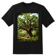 thumbnail image 2 of Plus Size Shirt for Women Black Tops for Women Short Sleeves Shirt for Women Tree T Shirt Oversized Shirt for Women S, 2 of 5