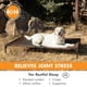 thumbnail image 3 of Pet Products - Cama elevada para Perros al Aire última intervensión, Cama de enfriamiento elevada con Malla Transpirable Lavable para Perros XL, Cama elevada portátil para Mascotas, Cama Hamaca, 3 of 9