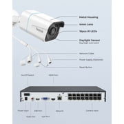 Reolink 4K PoE 8-Channel NVR System, 4 Plug-in Cameras, 2TB HDD, Smart Detection, Continuous Recording, RLK8-800B4