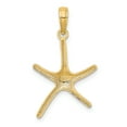 thumbnail image 4 of 14K Yellow Gold Polished Finish Dancing Design Starfish Charm Pendant, 4 of 4