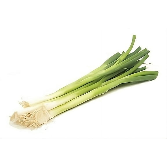 Onion Bunching Tokyo Long White Great Heirloom Vegetable by Seed Kingdom (1 OZ Seeds)