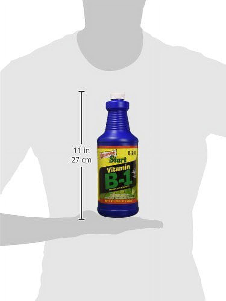 コタ　B1 1000ml Amazon.com: Klotz Higher Octane Booster Fuel Treatment – 1