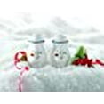 thumbnail image 2 of Pfaltzgraff Winterberry Stoneware Salt-and-Pepper Set - 109-025-00, 2 of 4