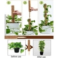 thumbnail image 4 of Poste de musgo absorbente de agua y transpirable de materiales de primera calidad para plantas, 2 piezas, instalación fácil y rápida, raíces aéreas de fibra de coco, adecuado para plantas de interior, 4 of 5