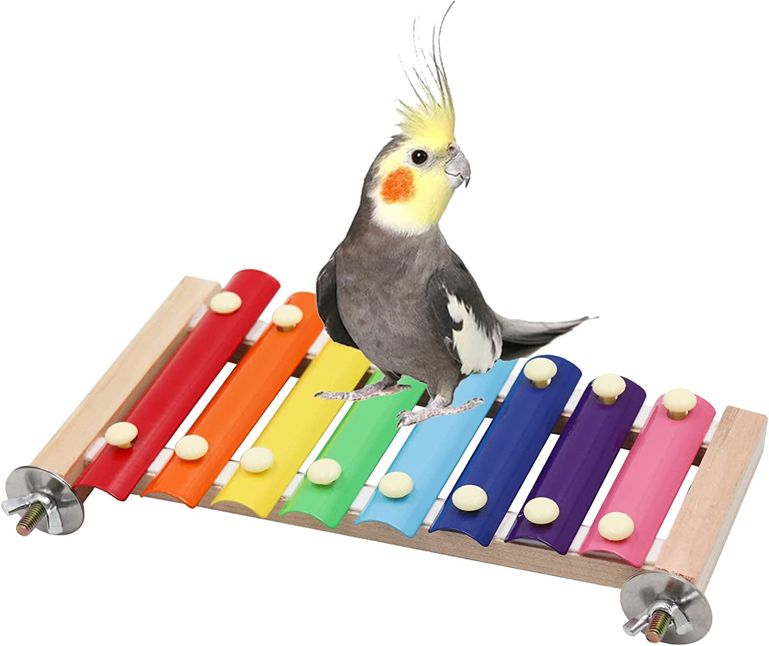 Colorful Bird Xylophone Toy, Funny Xylophone Toy with 8 Metal Keys, Bird  Cage Toy Accessories for Chicken Bird Parrot Parrot Parakeet Budgies Love  Birds 