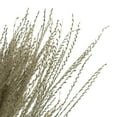 thumbnail image 3 of Vickerman 14-20" Natural Snowdrop Grass, 3 pack, Dried, 3 of 5