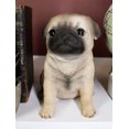 thumbnail image 5 of Ebros Lifelike Sitting Pug Dog Statue 6" Tall Pet Pal Figurine with Glass Eyes, 5 of 8