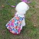 thumbnail image 2 of Zhuge Vestido para cachorro, bonito vestido de princesa para gato, falda para perro para perros pequeños, A162, M, 2 of 4