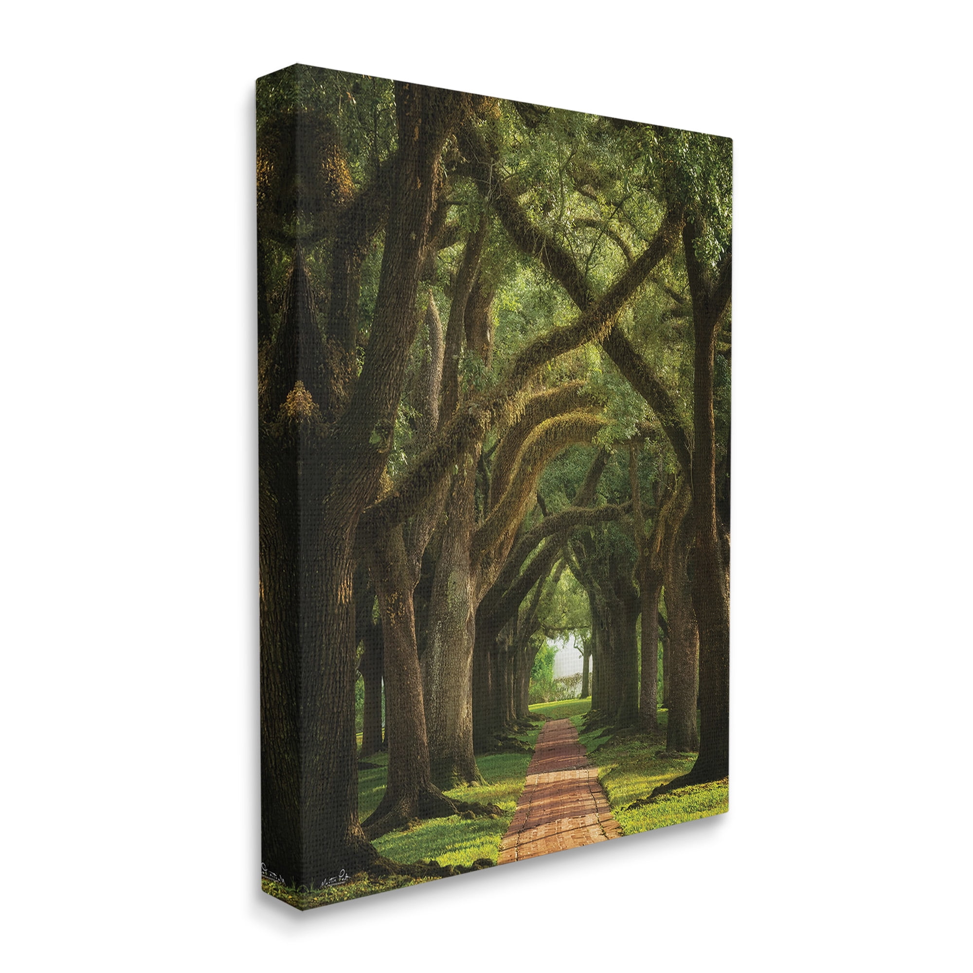 Stupell Industries Shadowed Tree Grove Landscape Photography Gallery Wrapped Canvas Art Print Wall Art, 30 x 40