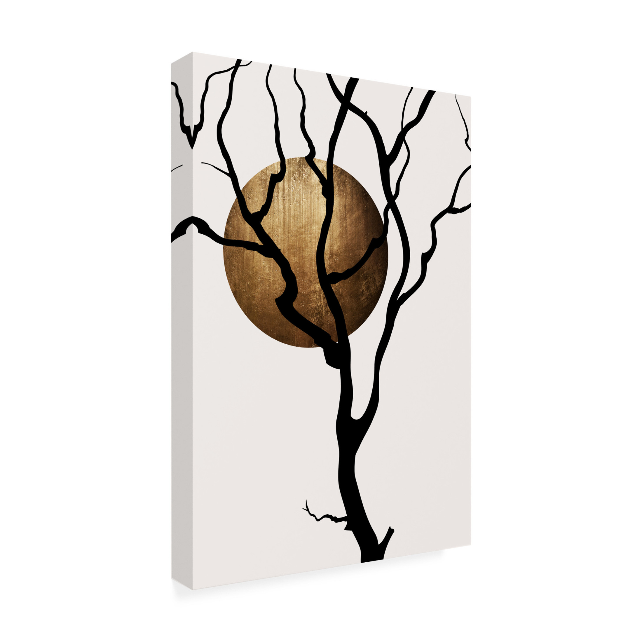 Trademark Fine Art Kubistika  Mystic Fairytales Canvas Wall Art