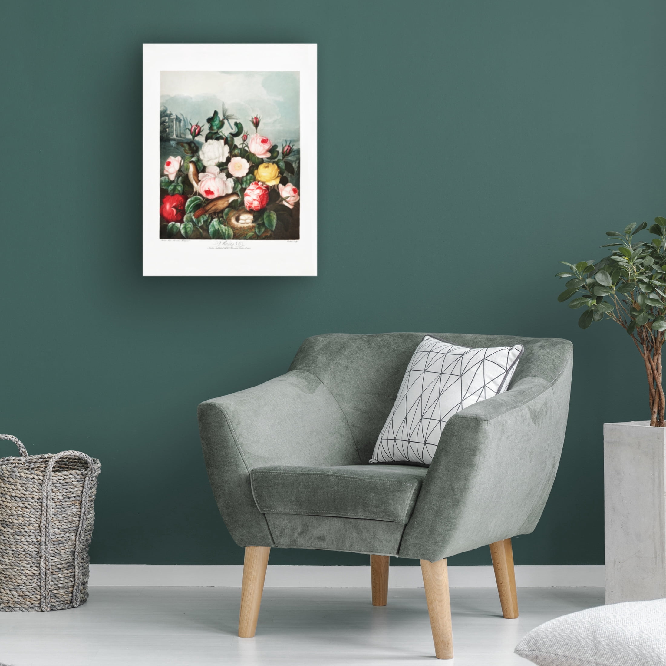 Trademark Fine Art Pictufy Roses from The Temple of Flora 1807 Canvas Wall Art