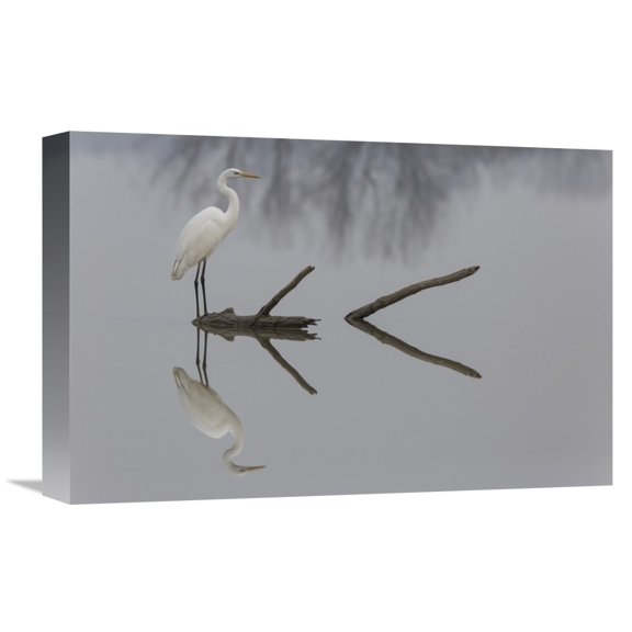 Global Gallery Mauro Montuori,'Reflections' Stretched Canvas Artwork
