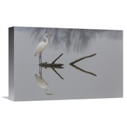 Global Gallery Mauro Montuori,Reflections Stretched Canvas Artwork