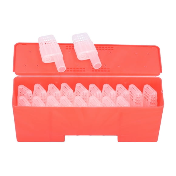Cage Reine des Abeilles, 20 Pcs Cage de Transport Reine des Abeilles Boîte Insectaire Artisanat Exceptionnel