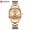 All Rose, variant on CURREN Gold Watch Women's Quartz Watches Stainless Steel Bracelet Waterproof with Date Watch Fashion Wristwatch Clock Femme