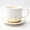 golden e, variant on Cup and , 12 oz Golden Initial B Cappuccino Cup
