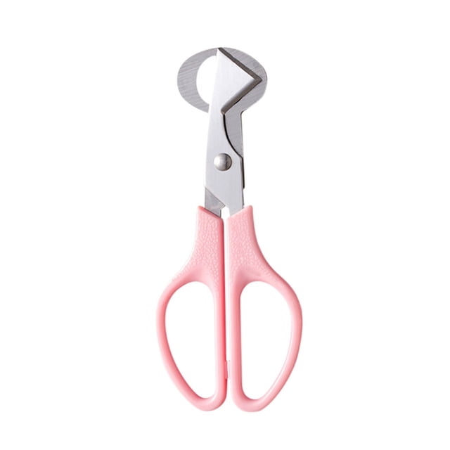 Agiferg Stainless Steel Quail Scissors Bird Cutter Quail Cutter Kitchen Scissors