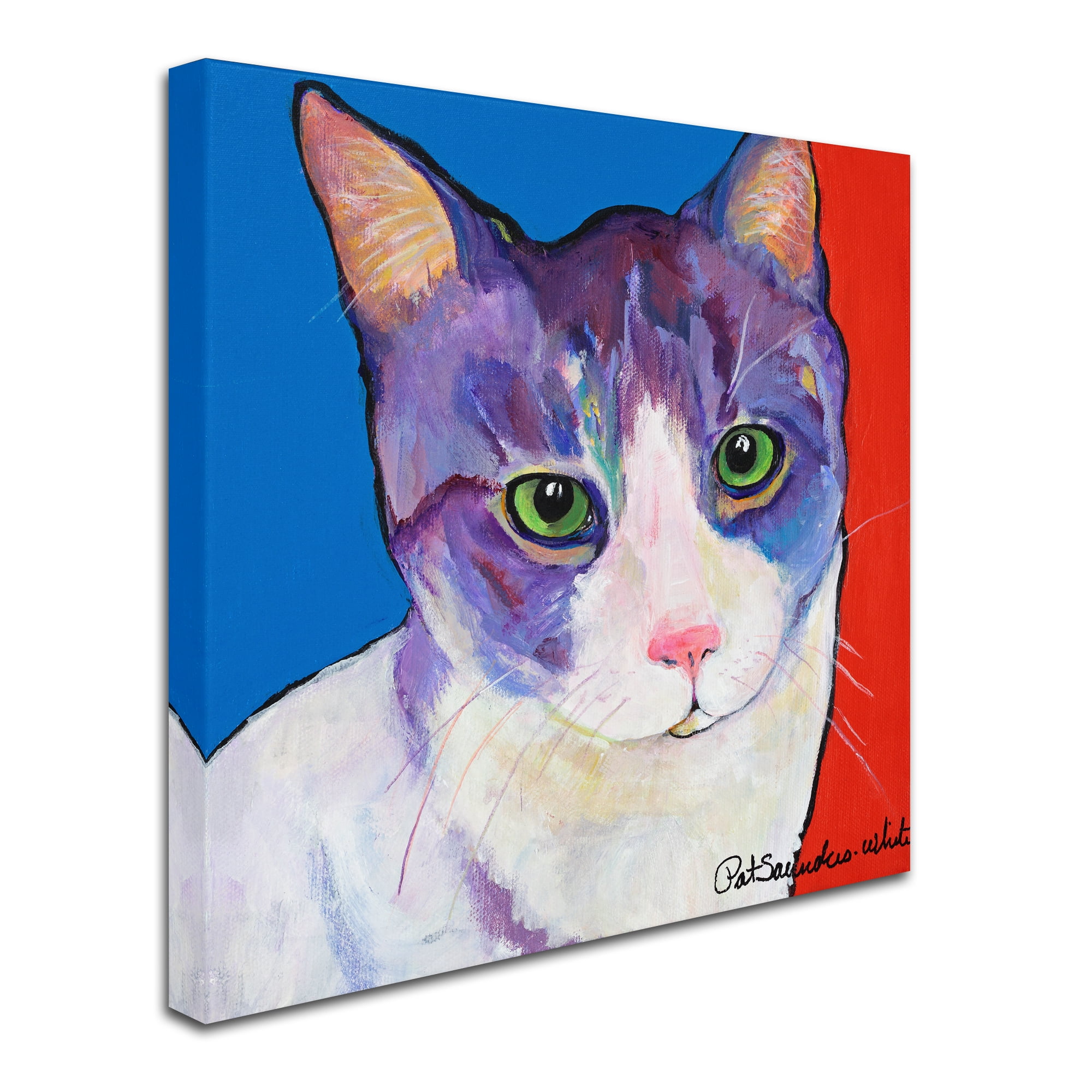 Trademark Fine Art 'Frenchy' Canvas Art by Pat Saunders-White