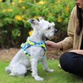 thumbnail image 4 of Nuevo arnés para perros y gatos, chaleco ajustable, correa para caminar, collar para cachorros, arnés de malla de poliéster para perros pequeños, medianos y gatos, 4 of 5