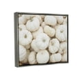 thumbnail image 3 of Stupell Industries Autumnal White Pumpkins Photograph Luster Gray Floating Framed Canvas Print Wall Art, Design by Lil' Rue, 3 of 8